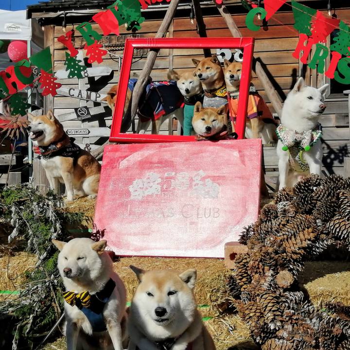 8c8e053d 3bdf 41fa 9072 d9a1b4666018 1638102609921