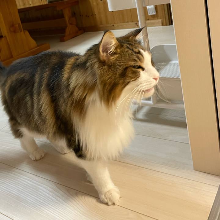 8c8e118a 572e 4926 895a 17801be3cf78 1699125807910