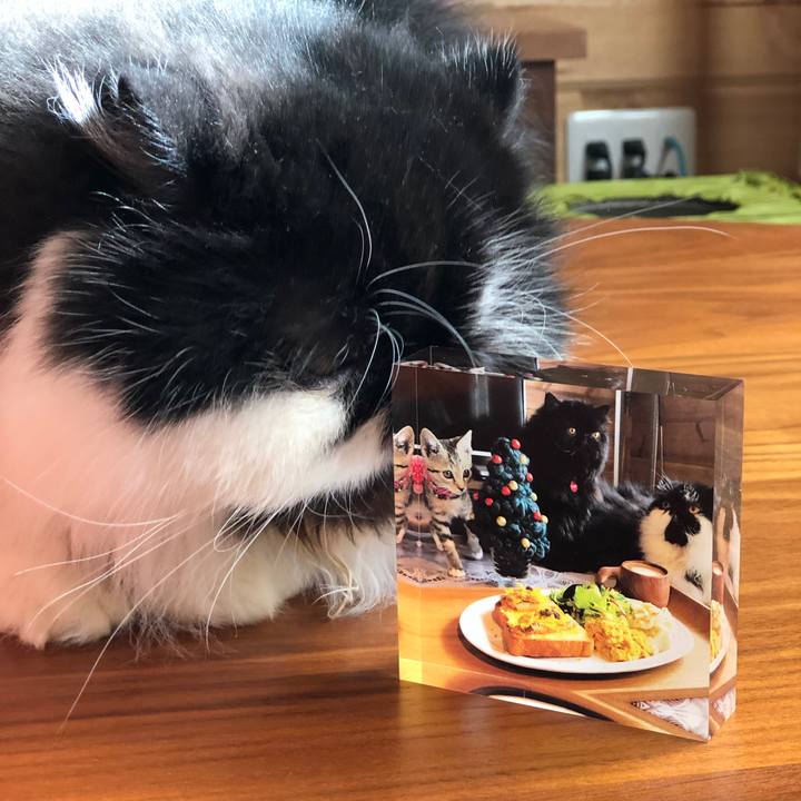 8c8e4375 407c 48c3 9c64 edfda5aaa0d3 1575078585355