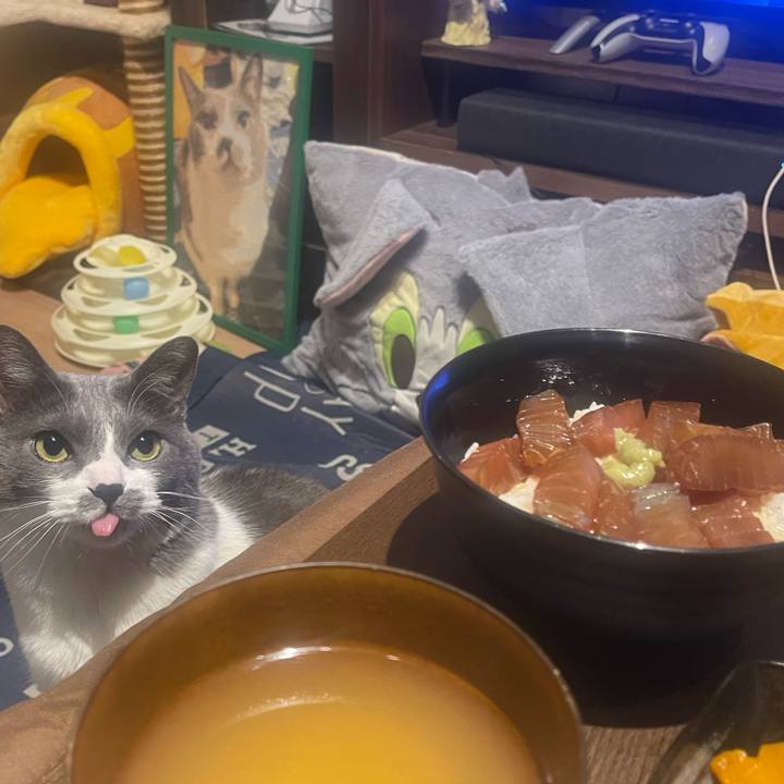 8c8e552d 7b70 4d86 b905 f54dbc19fa19 1744977934905