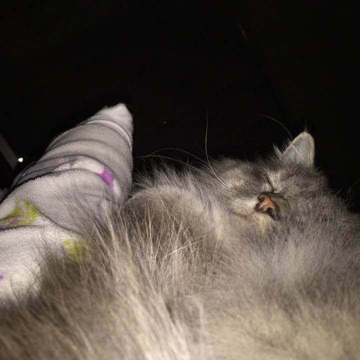 8c8e601f 1622 4bdd 99f2 7b55451caf74 1517238442811