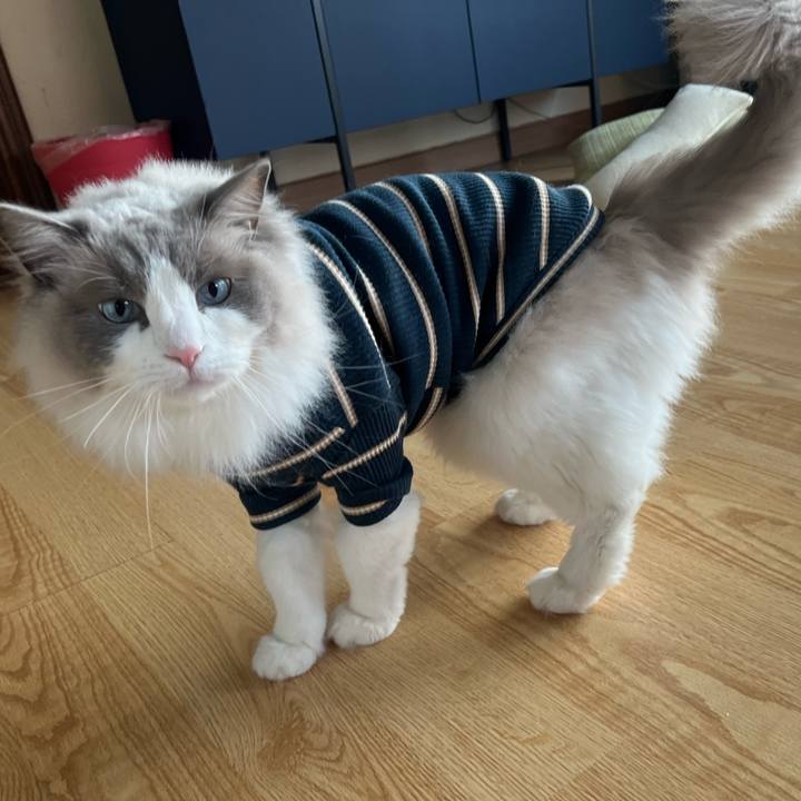 8c8e860e cef5 4aba 8110 b50ae01fd5df 1710243380377