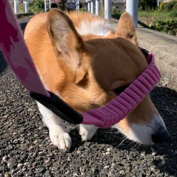 8c8e9e50 3e82 4711 8b93 ac74ed0fbe39 1700622356779