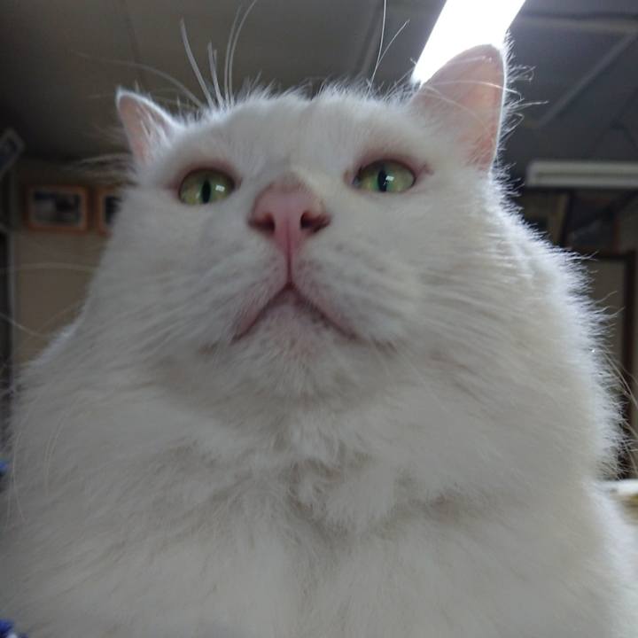 8c8f03fb 0b30 44ba a7f9 52e350609bdd 1535408626021