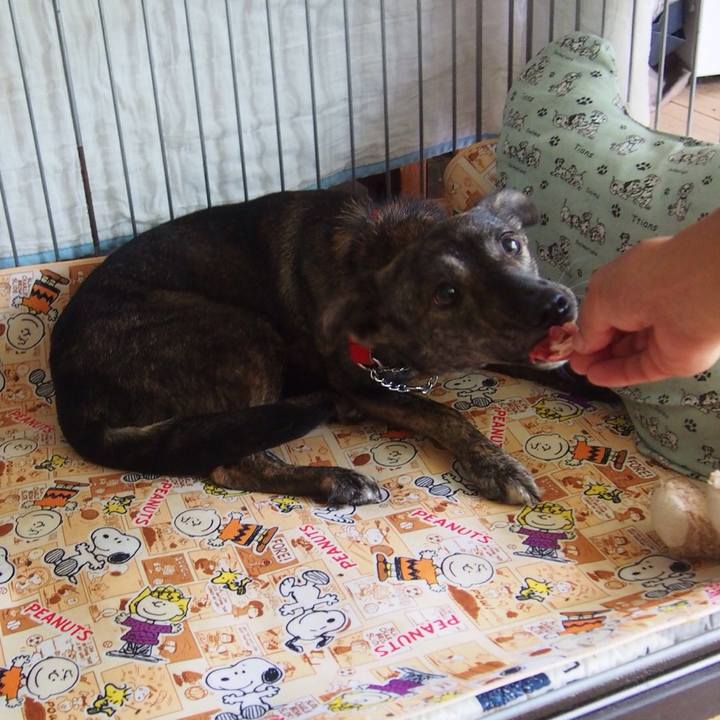 8c8f0da6 6bb6 47af a061 94ce54bece85 1537709290180