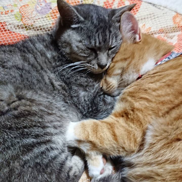 8c8f3771 a134 4417 9dbd ca8dc2e991fd 1571661476004