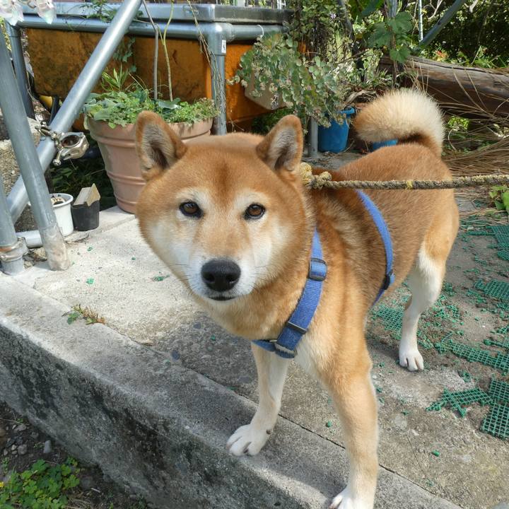 8c8fcba6 da24 4e25 be9a bb30e23e2276 1602245679303