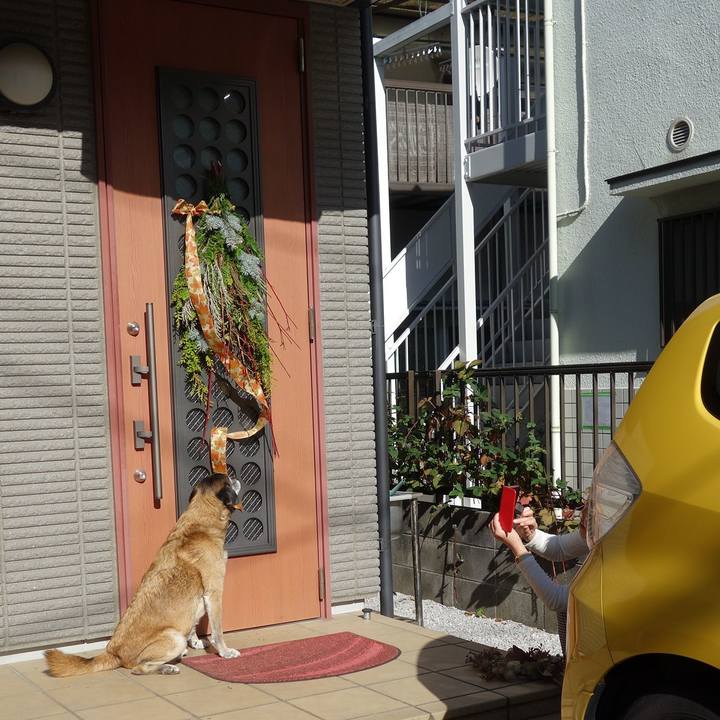 8c9022a4 7da1 4624 bbe9 78259d6c0e8c 1621557474039