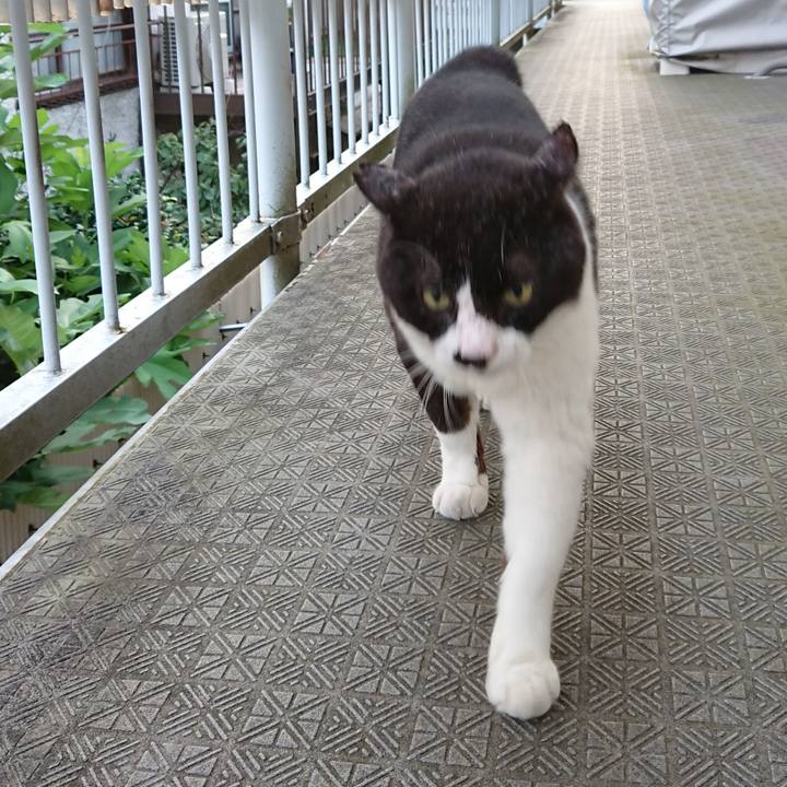 8c90518c d9a3 4e33 9fc9 c2d173fbc22f 1630014192591