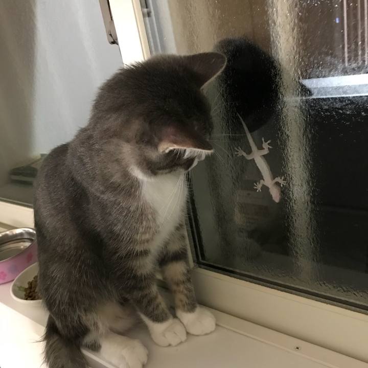 8c905674 6cbf 482f aa9c a99a278a9c0a 1535454871616