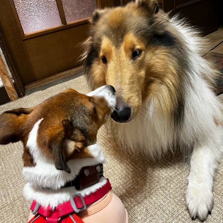 8c9088fb 0a73 4d16 9653 567d43d2a675 1758357233685