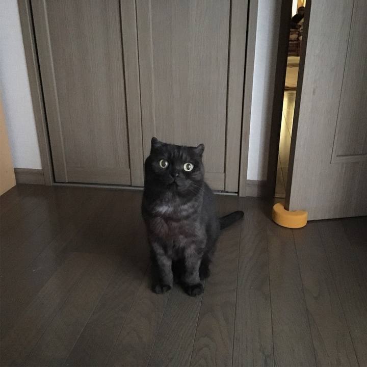 8c90dd86 fc78 4bff 9f6f 46130dbecf51 1529290058765