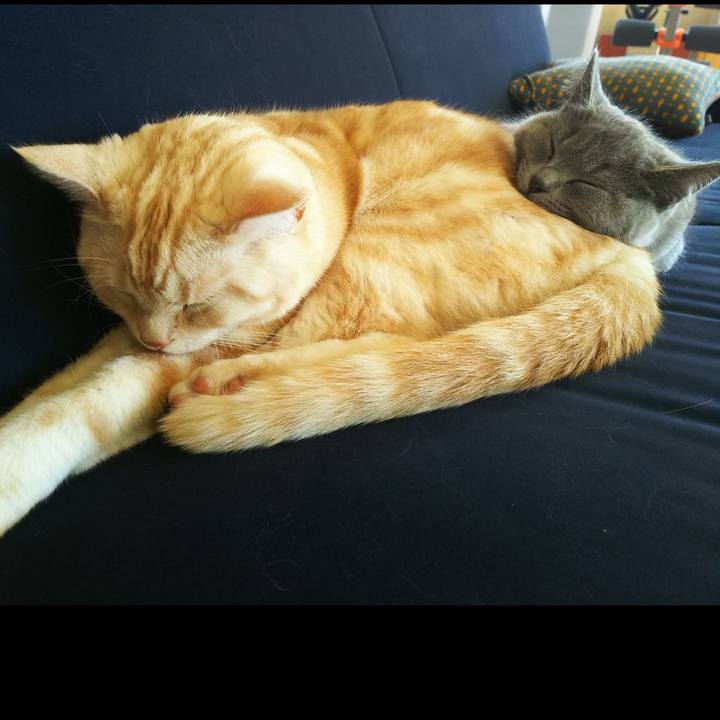 8c90e76a 1991 4151 a1f0 ae6bc568c0b4 1556330021819