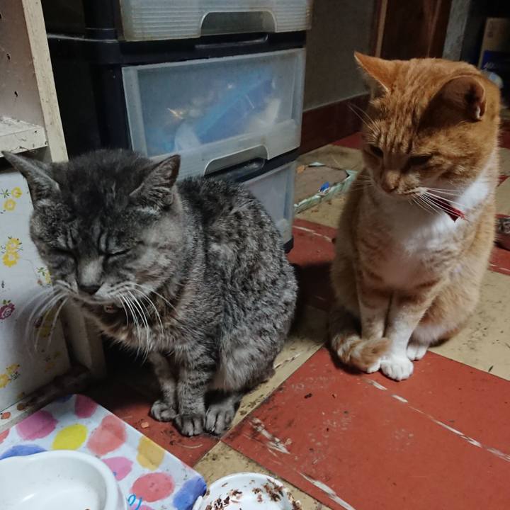 8c90fbc5 0f84 4c43 a03e b46a54df7017 1574625671155