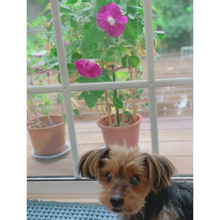 8c917534 0e51 43be a42b afb31560aee6 1628804715395