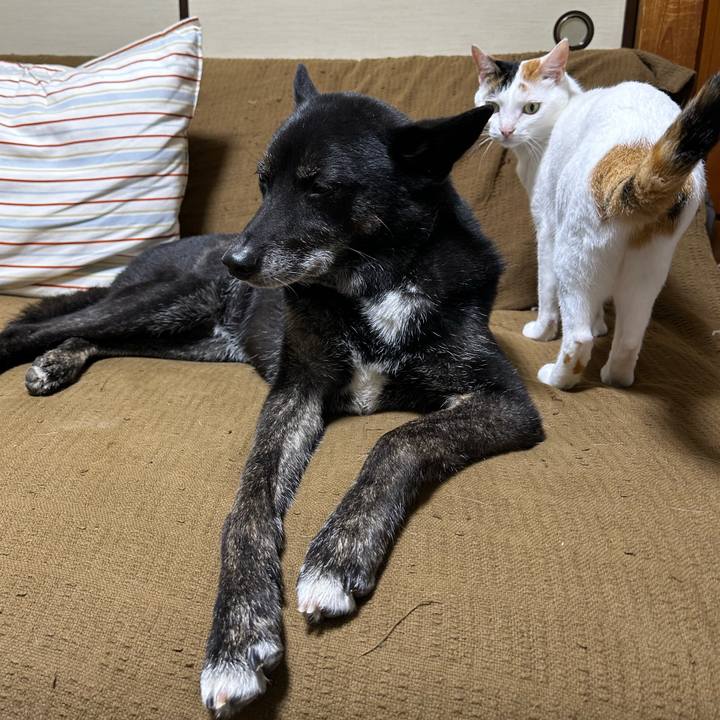 8c91adc0 9d35 4c9f a74b 28e95e3c2c39 1722746072584