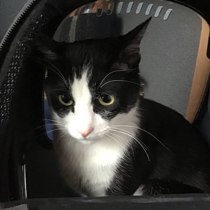 8c91b578 cb47 45ae bc63 06b580cf88f7 1713433378495