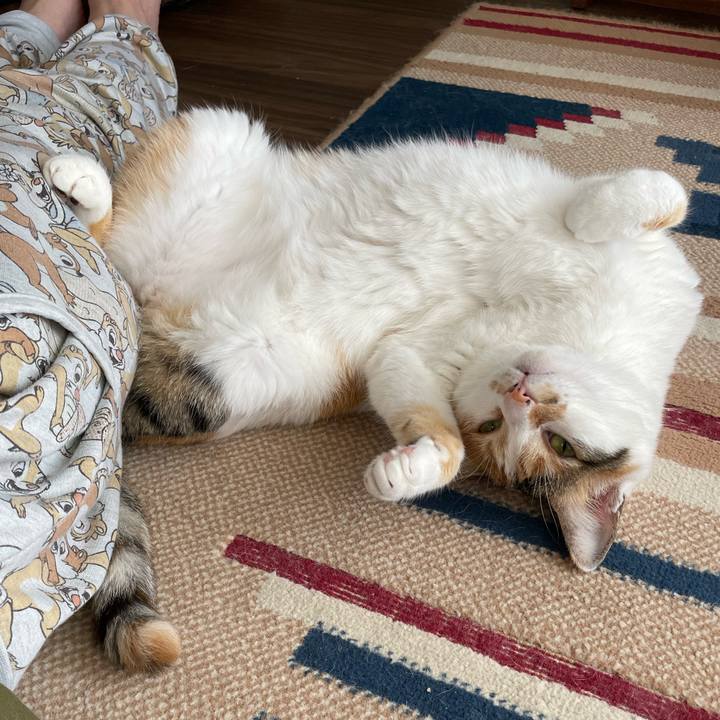 8c91b5ea e98a 4bc4 bd78 fcd8e98218cd 1657497020437