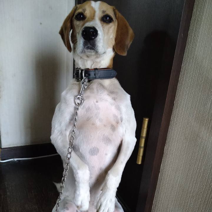 8c91cf95 b04f 4e46 89d1 afd74387d16f 1661148320523