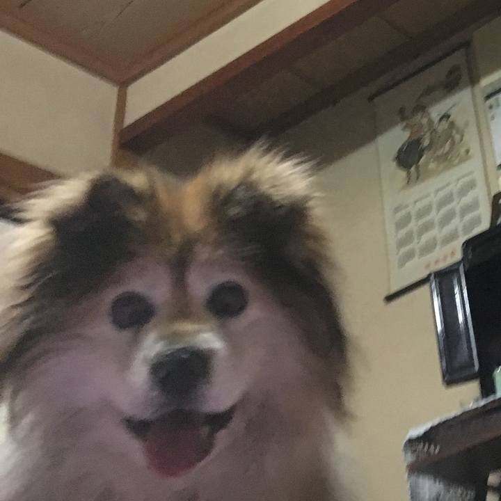 8c91fcc6 0f70 4e1a 9598 a0d118f94adf 1571047587921