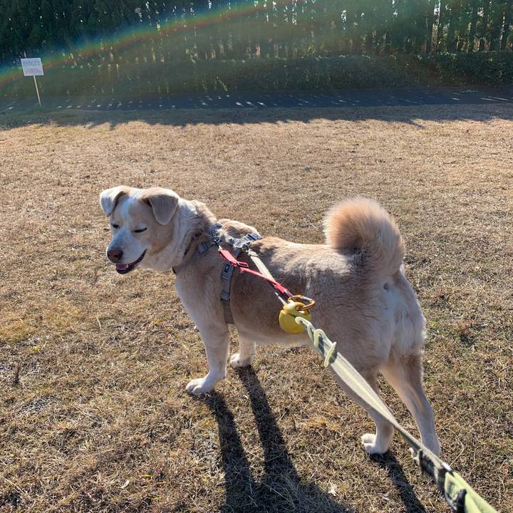 8c920b96 7224 4c3c ac09 4e0bbbb70725 1581388076525