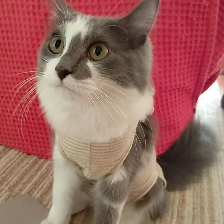 8c9215d6 d200 41c2 aad4 a52f65bc9e7e 1572666918661