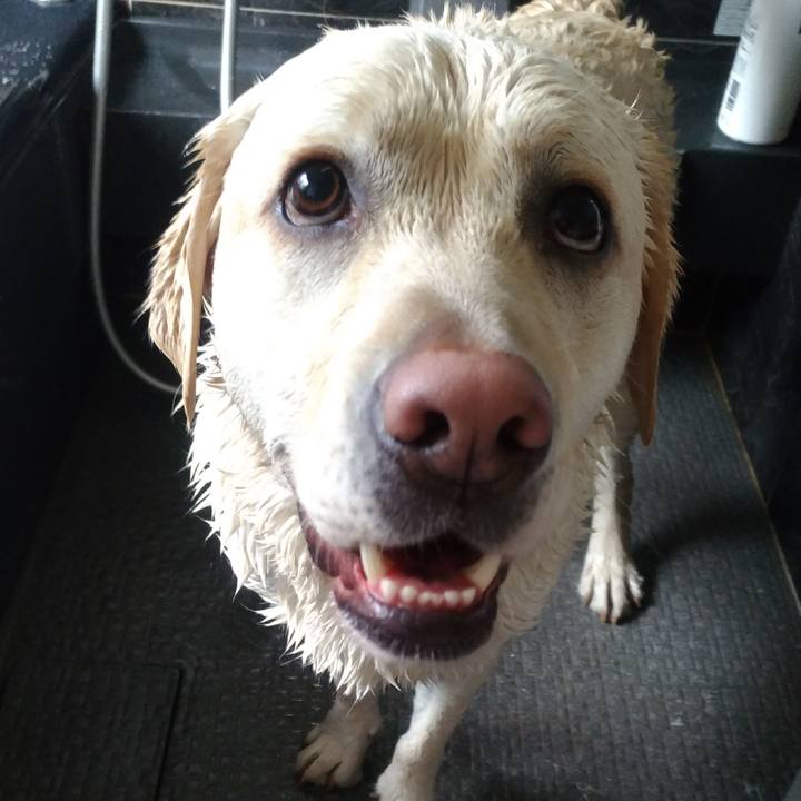 8c9233f9 09a9 4a06 8406 e58cc27c6e38 1520059075207