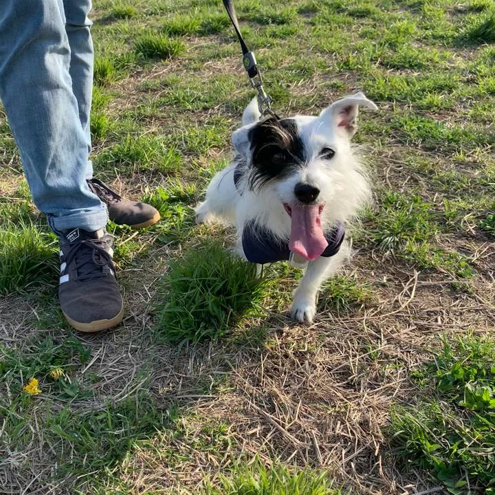 8c92418d da68 41ad a93d a90d791bd2d0 1680168436723