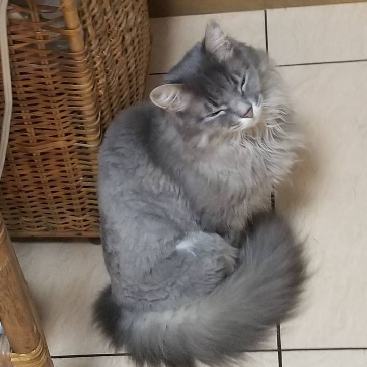 8c9247e8 4deb 4741 96d1 71eae20c70cc 1595765265603