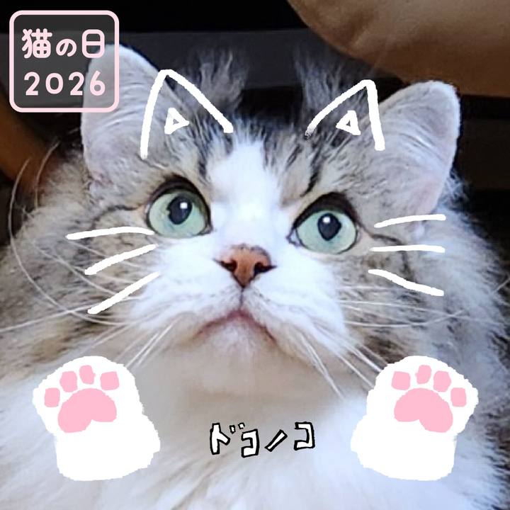 8c92537e 9bfe 4d24 a8ee 65efcbdab480 1771712205894