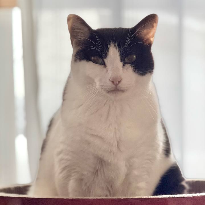 8c925a7a b862 4f78 abac 65c7d4bb2f5c 1734574484784