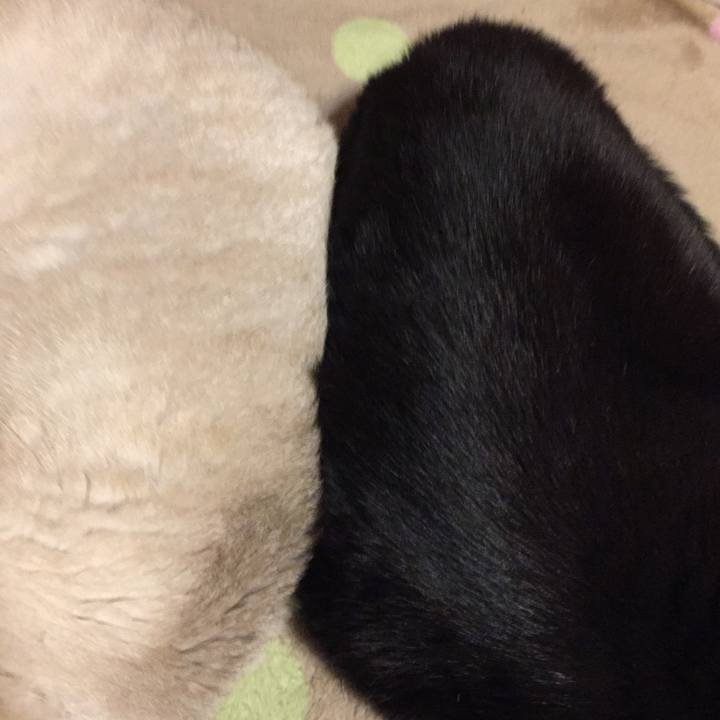 8c925f9a 4109 4464 a817 e4dafa7d3076 1548586936296