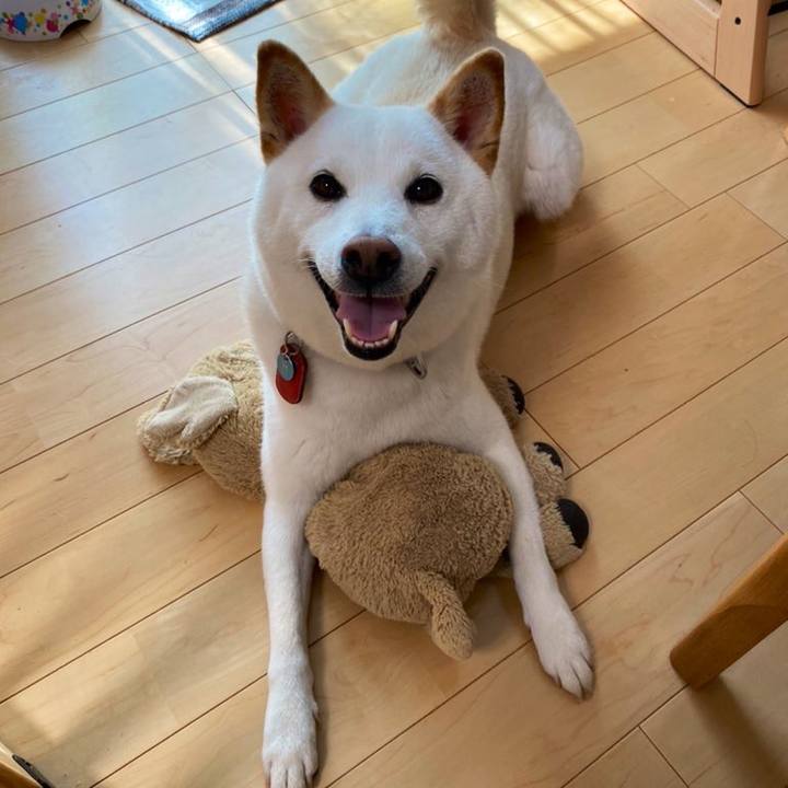 8c926606 eaaf 493d 921d dafe19cc40ac 1633941889377