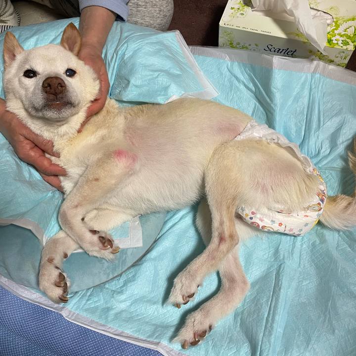 8c926881 1c49 4840 a35f b1cd9d47f8fd 1672766151615