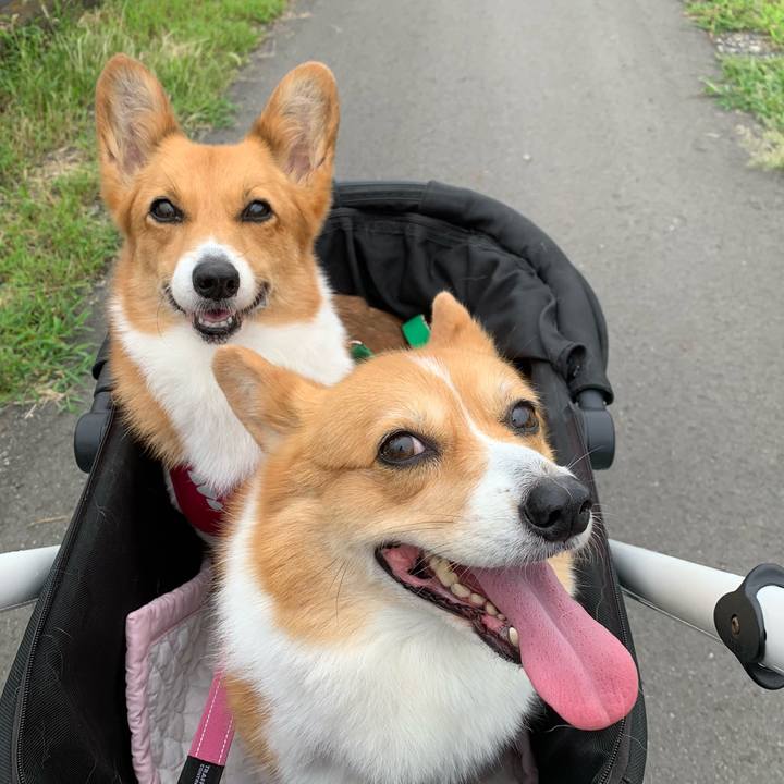 8c928abd 45f0 4bba 82ee 205da1e20f9b 1627682885792