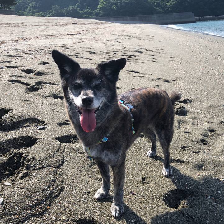 8c9294f3 d06b 42f8 857a 4521946c3ffa 1691974770647