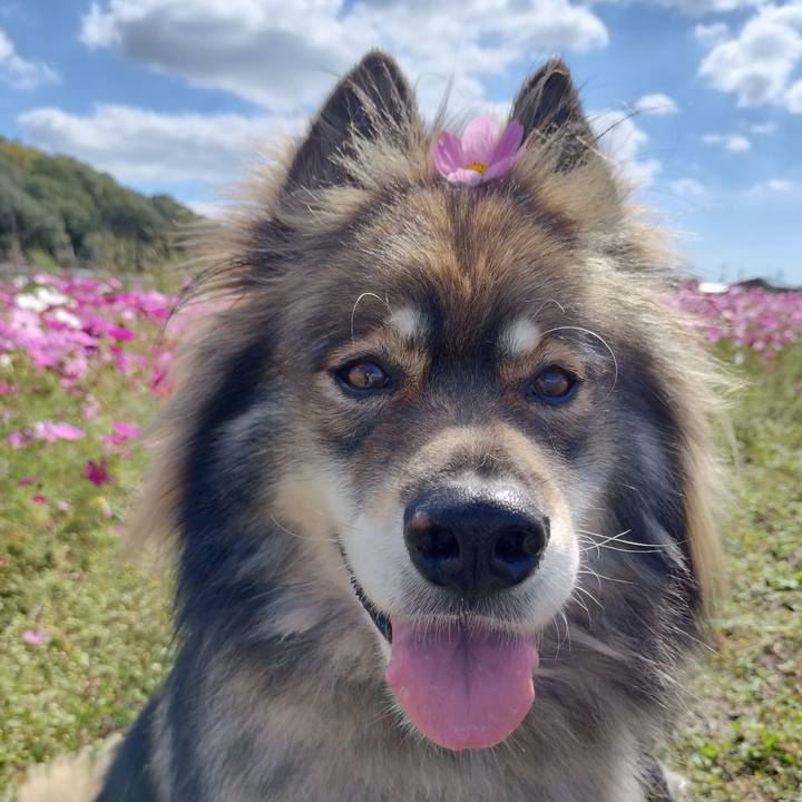 8c92a1e2 3821 4295 b65d 6ddb18019e70 1667533398443