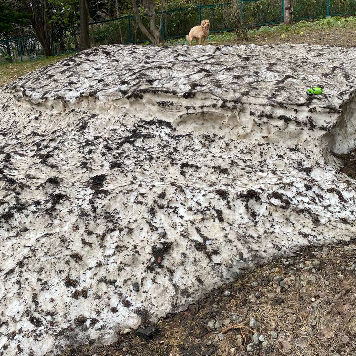 8c92adcf a326 4851 8d6d 7cd66d94a812 1620342853446