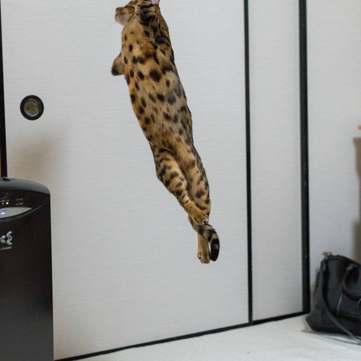 8c92bdd7 162c 41b7 bab7 b1e0da85d6ad 1520687965431