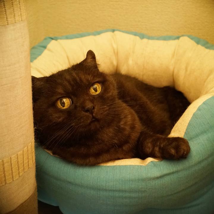 8c92be8e 3b8a 43d2 b89b da5f80609700 1598432251547