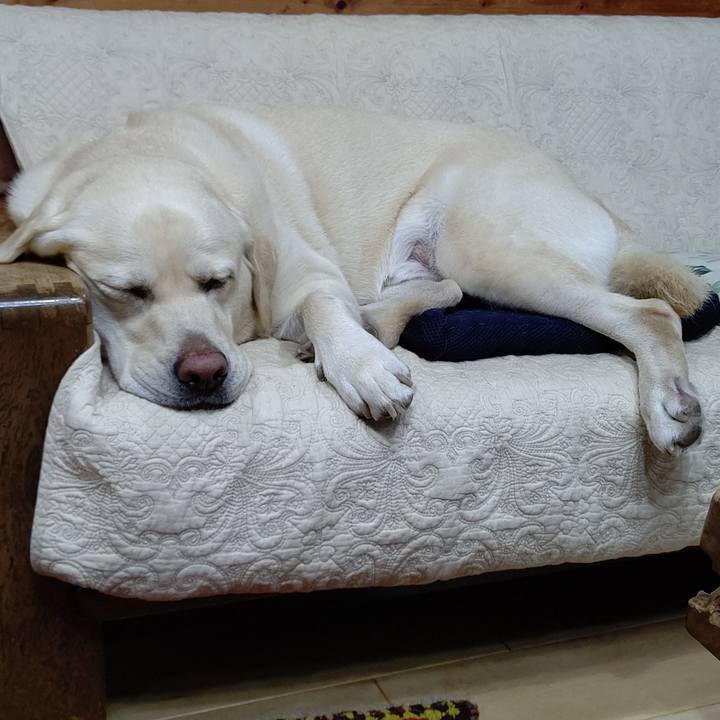 8c92c2de 443b 49dd 87ba 43827acd5b7d 1634721852219