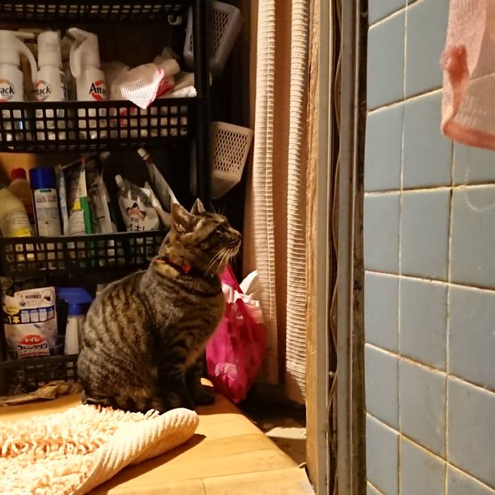 8c92c31f 80a7 477b b911 7efa6a7ba7e6 1641293587831