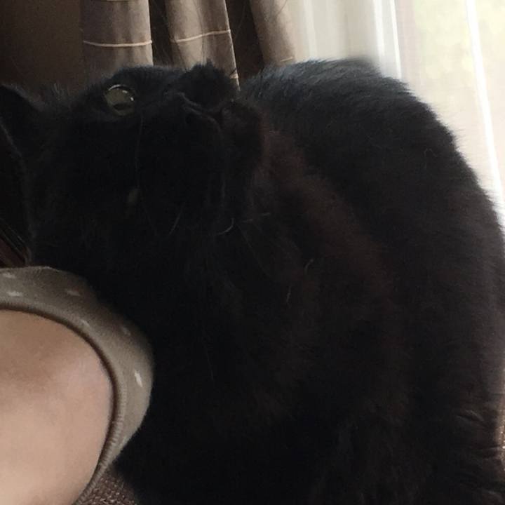 8c92ffd5 633b 46f0 8b37 97a08269f4f1 1528973543654