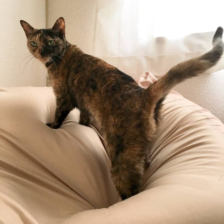 8c93d4f4 3b5c 45bb 956c e891b0a0e3ad 1538237455643