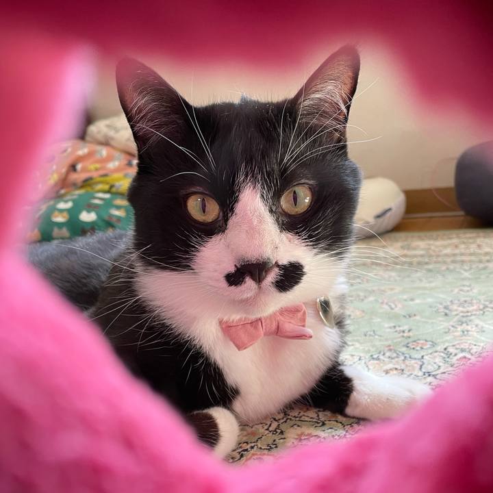 8c944f58 b63c 40cc 94b0 447dfee4fedc 1745884747144