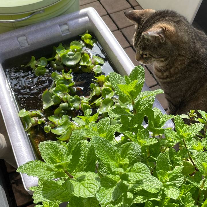 8c94561c d938 4c31 afe0 9b92cfaba43d 1620636204452