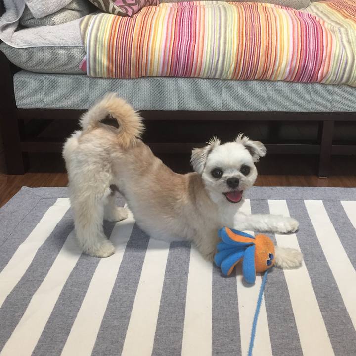 8c946bff c10f 4ff9 add8 8e3db09abfe7 1560334882983