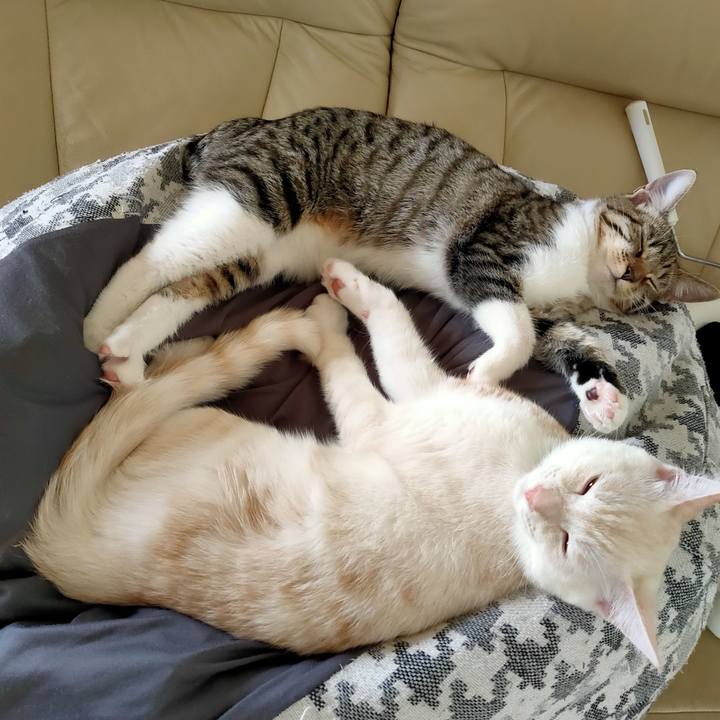 8c949886 a662 42c5 999c 0f72221b3d20 1631004878688