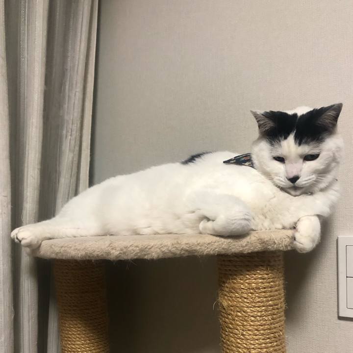 8c94bb2e 3974 4b0d af51 eca7901b797f 1580819967234