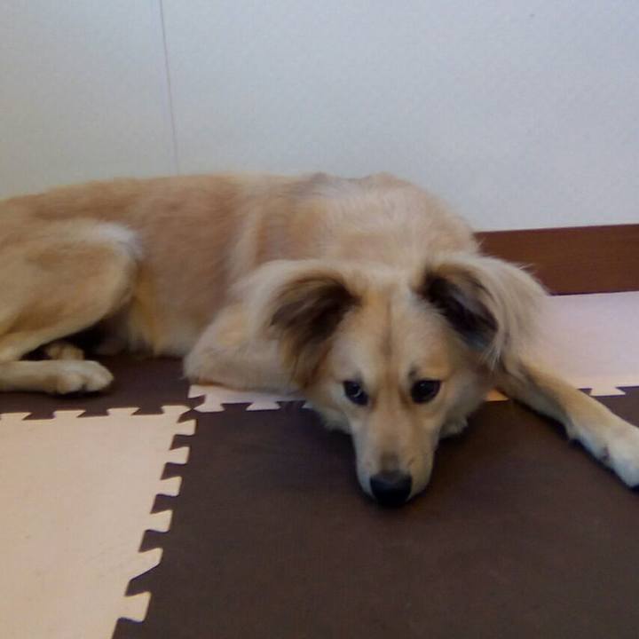 8c94dc04 9dd8 4168 ad67 a0253d375a2c 1537789517054